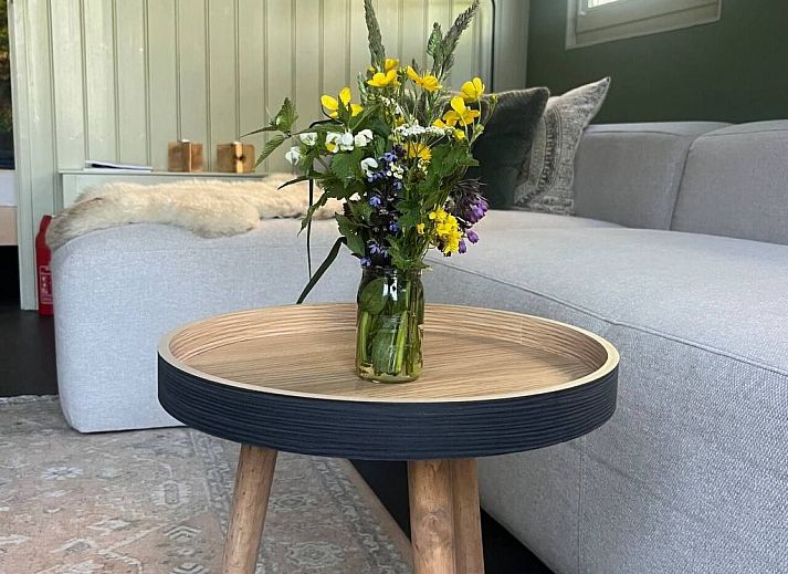 Unterkunft 061204 - Ferienhaus IJsselmeer - Vakantiehuis Übernachten im schönen Friesland