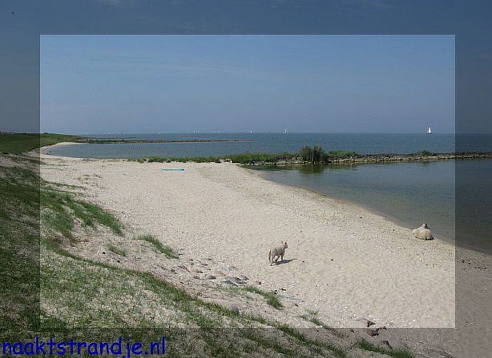 Unterkunft 061204 - Ferienhaus IJsselmeer - Vakantiehuis Übernachten im schönen Friesland