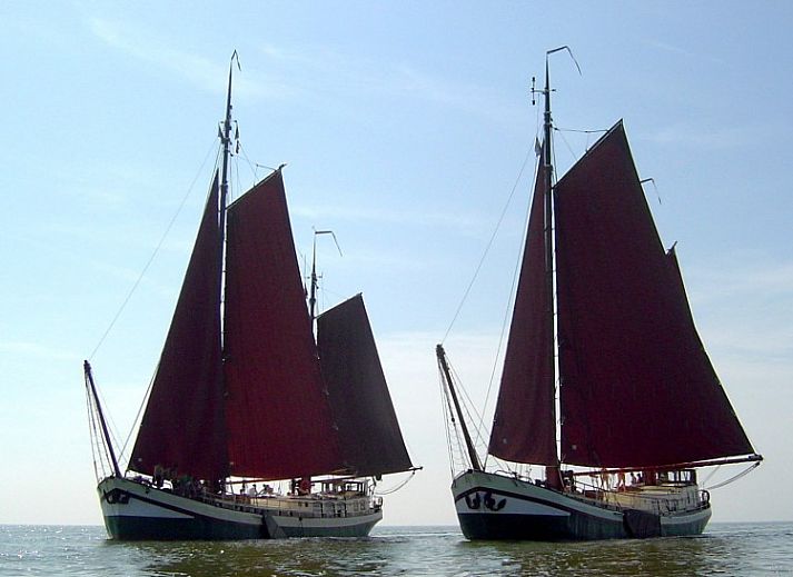 Guest house 061301 - Classic sailboat Sneekermeer - Klipper De Hoop