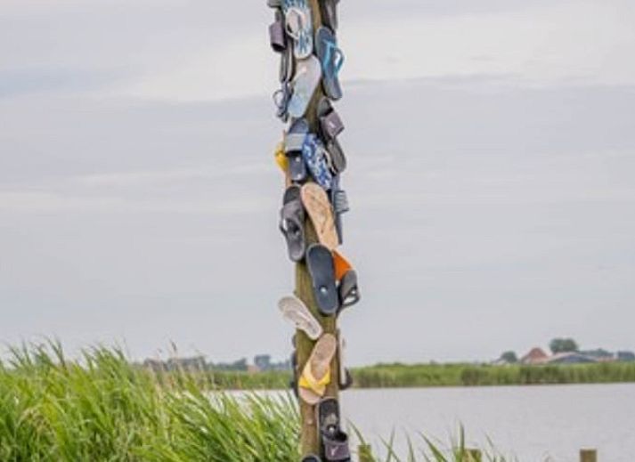 Cottage in Heeg, vacation home in Frisian lakes overlooking green surroundings and terrace, ideal for nature lovers.