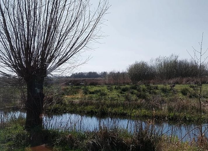 Bloeiende tuin bij Vakantiehuisje in Oudega, gelegen aan het Heegermeer in de Friese meren, met kleurrijke flora.