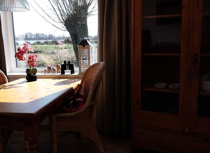 Natuurlijke omgeving bij Vakantiehuisje in Oudega, aan het Heegermeer in de Friese meren, ideaal voor natuurliefhebbers.