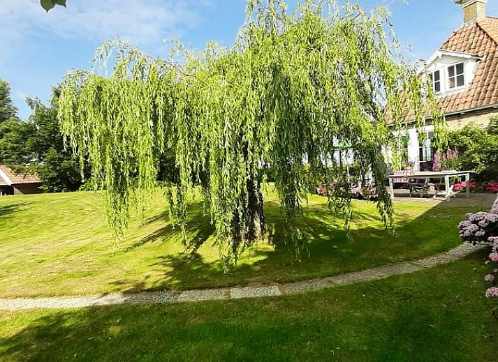 Unterkunft 070702 - Ferienhaus Heegermeer - Huisje in Sandfirden