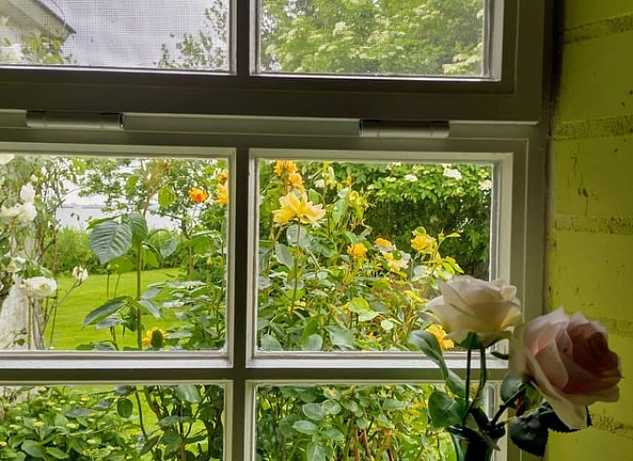 Unterkunft 070702 - Ferienhaus Heegermeer - Huisje in Sandfirden