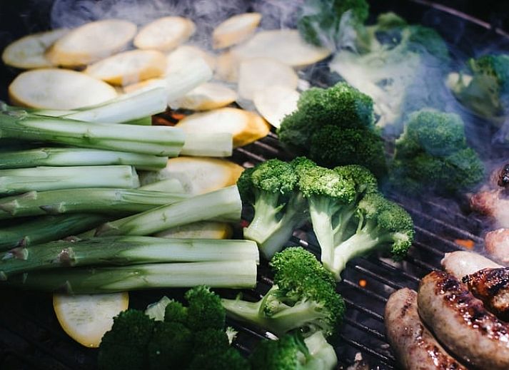 Ferienhaus in Koudum mit moderner Architektur und gruener Umgebung in der Naehe der friesischen Seen.