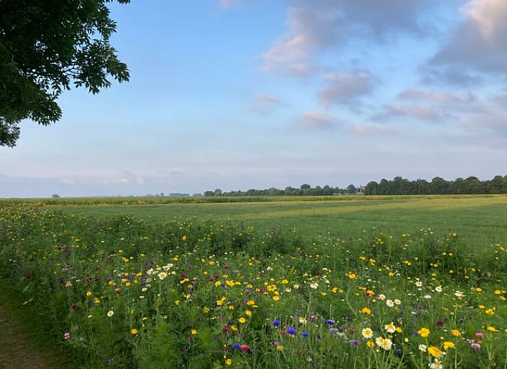 Aussenkamin mit brennendem Holz im Ferienhaus in Koudum, ideal fuer gemuetliche Abende.