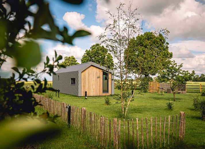 Blumenwiese in der Naehe des Ferienhauses in Koudum, bunte und natuerliche Landschaft.