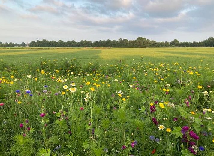 Enjoy the modern veranda at Holiday Home in Koudum, located in the serene surroundings of the Frisian Lakes in Fluessen.