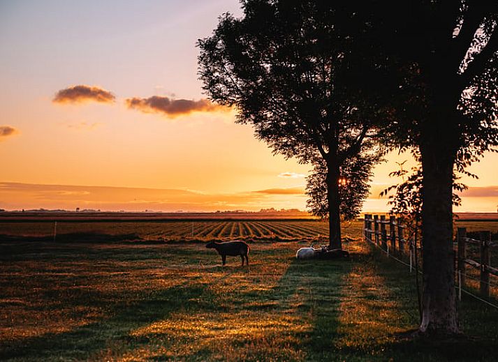 Enjoy a healthy breakfast at Holiday home in Koudum, located on the Frisian lakes. Perfect start to the day in this beautiful vacation home.
