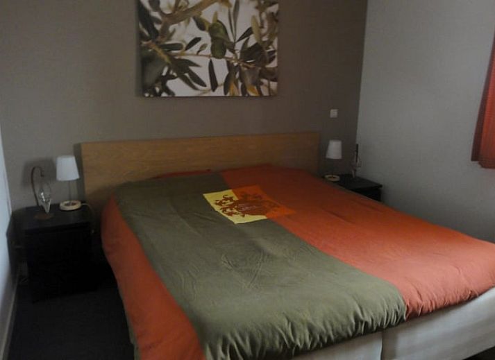 Guest house 080106 - Holiday property Fluessen - Vakantiehuisje in Koudum