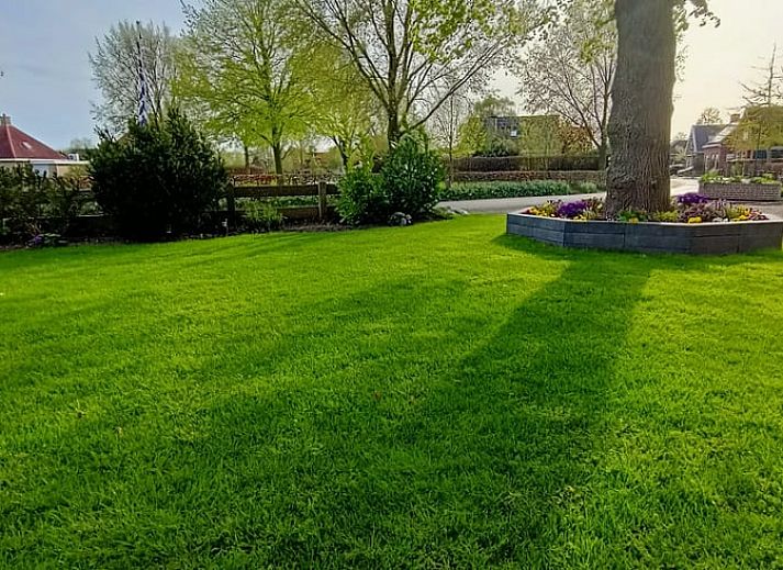 Cottage in Hemelum cottage in Hemelum with colorful garden and terrace, ideal for relaxation near the Frisian lakes.