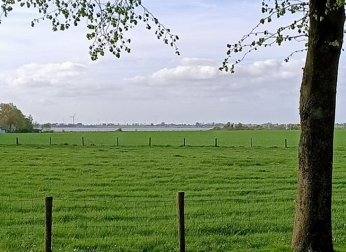 Cottage in Hemelum cottage in Hemelum with colorful garden and terrace, ideal for relaxation near the Frisian lakes.