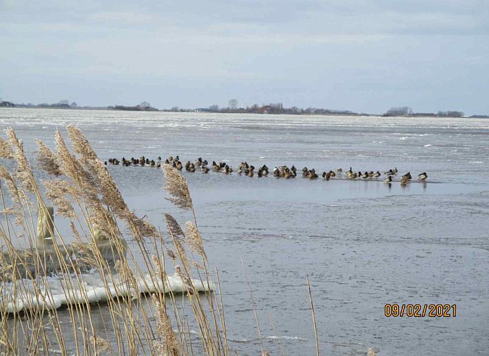 Guest house 080307 - Holiday property Fluessen - FR181