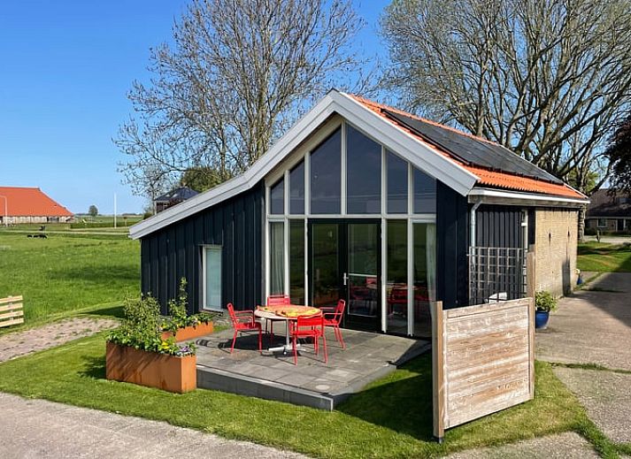 Ferienhaus in Elahuizen, ein charmantes Ferienhaus in den friesischen Seen mit Blick auf weidende Schafe in der Natur von Fluessen.