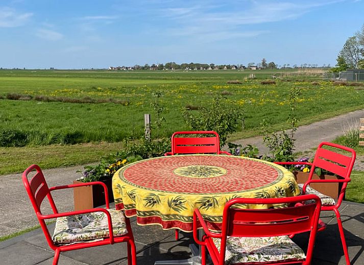 Ferienhaus in Elahuizen, ein charmantes Ferienhaus in den friesischen Seen mit Blick auf weidende Schafe in der Natur von Fluessen.