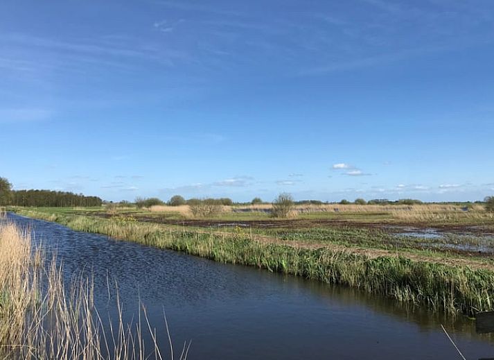 Ferienhaus in Elahuizen, ein charmantes Ferienhaus in den friesischen Seen, umgeben von gruener Natur und rustikaler Aussicht in Fluessen.