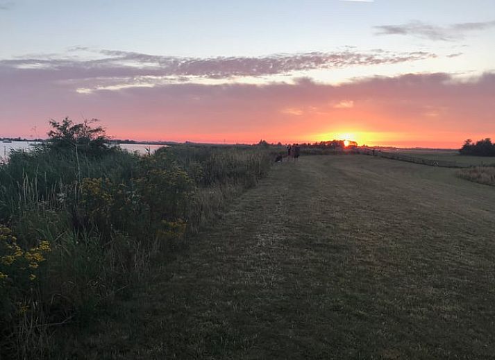 Rustieke entree van vakantiehuis in Gaastmeer, omgeven door natuur en levendige eenden in de Friese meren.