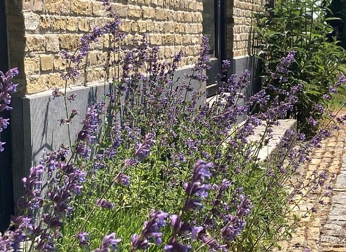 Gezellig vakantiehuis in Gaastmeer, gelegen aan de Fluessen met directe toegang tot het water en omringd door groene bomen.
