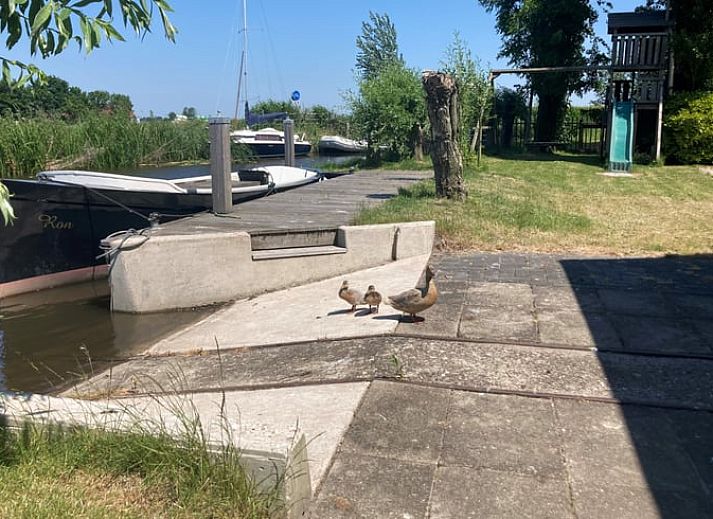 Gezellig vakantiehuis in Gaastmeer, gelegen aan de Fluessen met directe toegang tot het water en omringd door groene bomen.