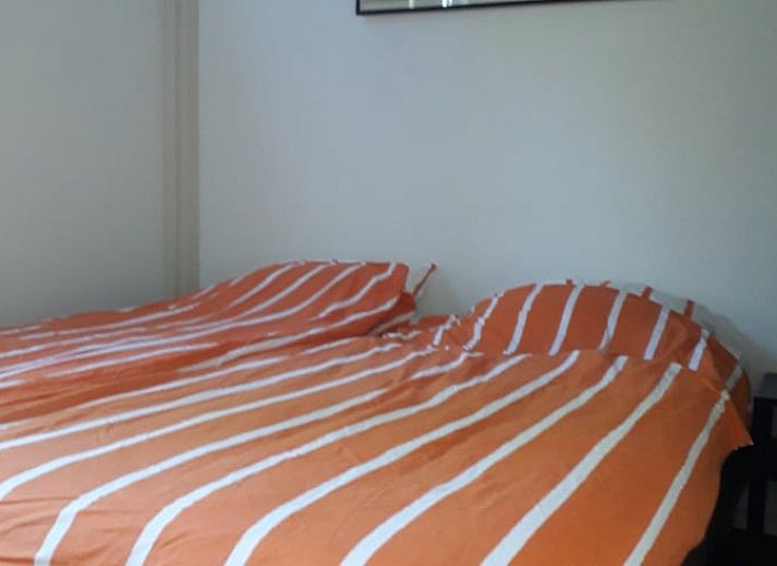 Gemuetliches Wohnzimmer des Ferienhauses in Gaastmeer, mit Blick auf den gruenen Garten in den Friesischen Seen, ideal zum Entspannen.