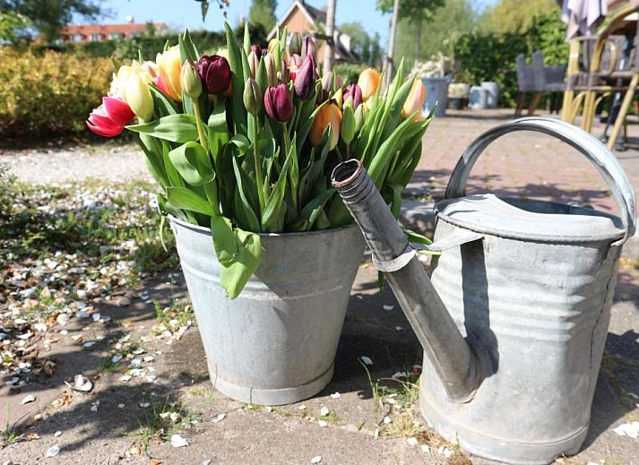 Unterkunft 086808 - Ferienhaus Noordzeekust - B&B - Pension Het Oude Dorp