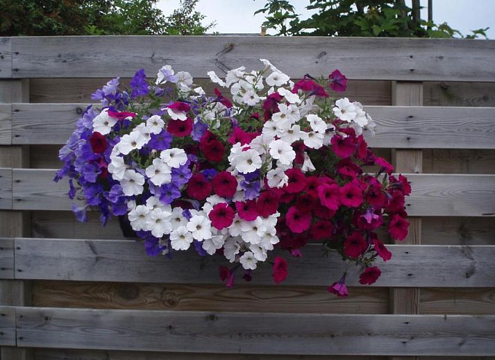 Cozy dining area in B&B Fam. Tavenier, Vrouwenpolder, Walcheren, where guests can enjoy breakfast.