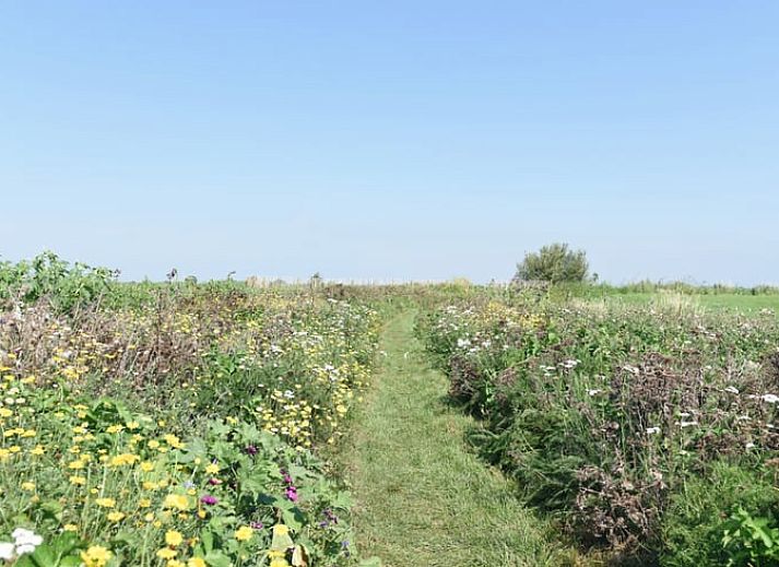 Attraktiver Holzinnenraum im Ferienhaus in Echtenerbrug, Tjeukemeer.