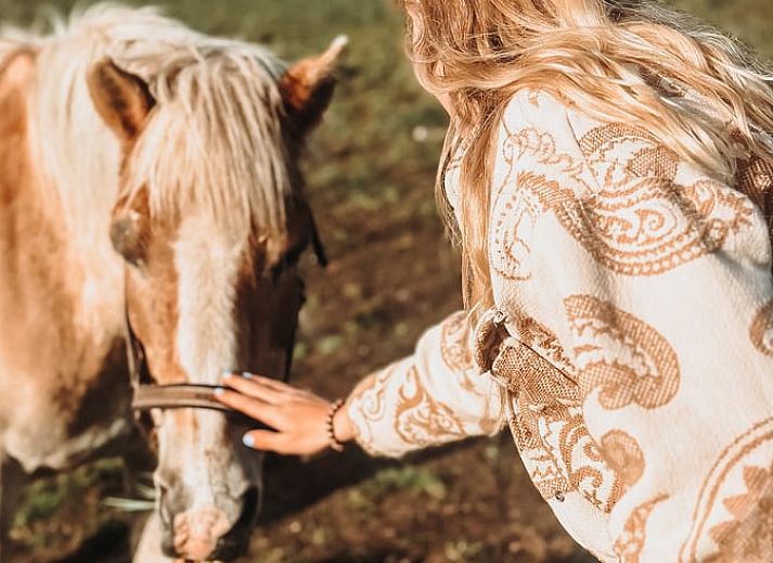 Entspannen Sie sich bei einem Kaffee auf der Terrasse von Holiday home in Echtenerbrug, Tjeukemeer.