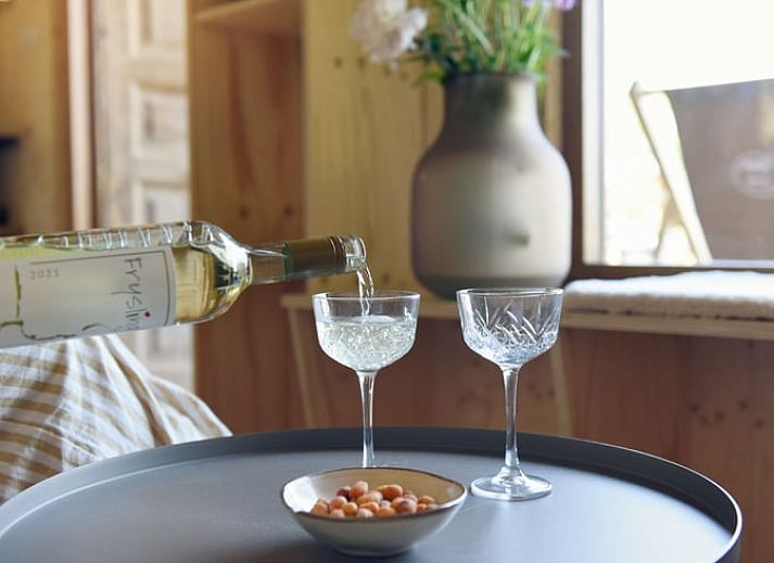 Unterkunft 100113 - Ferienhaus Tjeukemeer - Vakantiehuis in Echtenerbrug