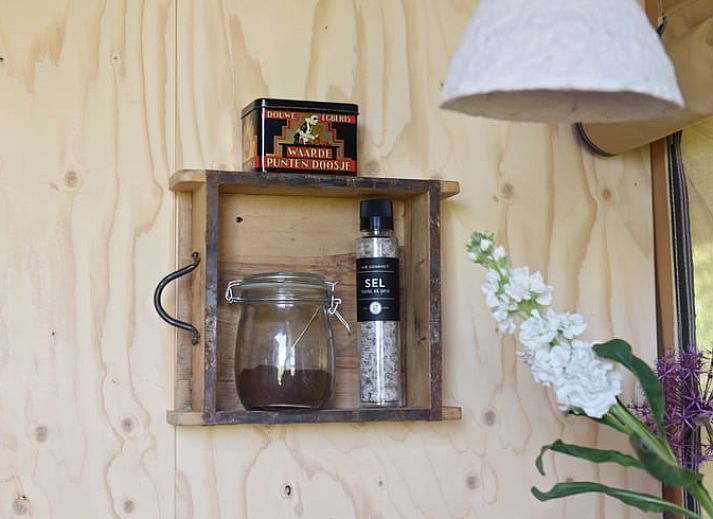 Unterkunft 100113 - Ferienhaus Tjeukemeer - Vakantiehuis in Echtenerbrug