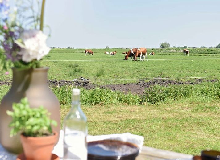 Unterkunft 100113 - Ferienhaus Tjeukemeer - Vakantiehuis in Echtenerbrug