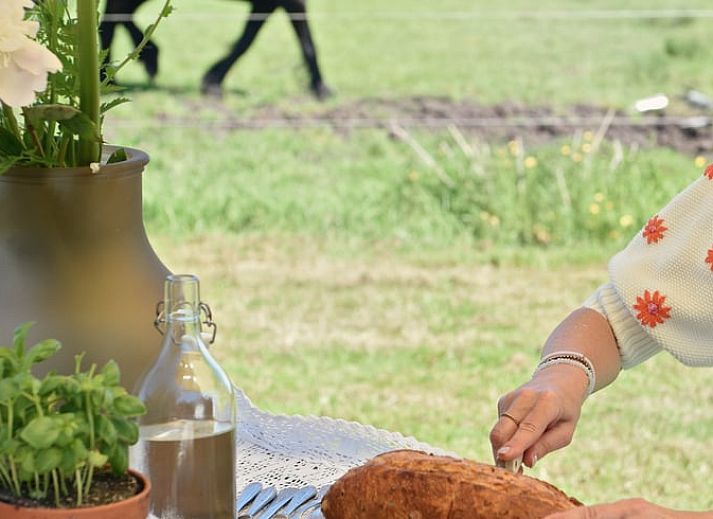 Knusse zithoek met houtkachel in Vakantiehuisje in Echtenerbrug, ideaal voor ontspanning.