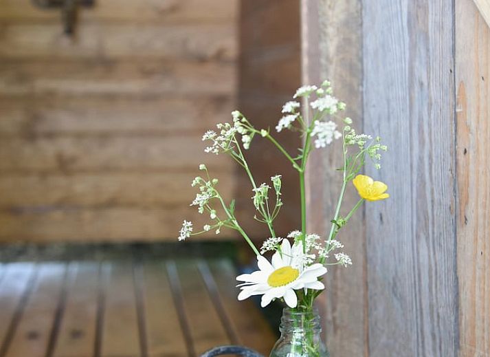 Knusse zithoek met houtkachel in Vakantiehuisje in Echtenerbrug, ideaal voor ontspanning.