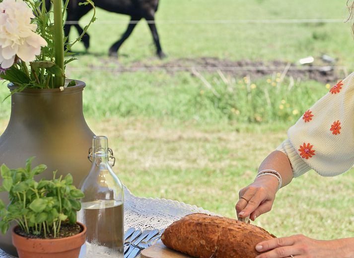 Unterkunft 100119 - Ferienhaus Tjeukemeer - Smûk Fjildhuske