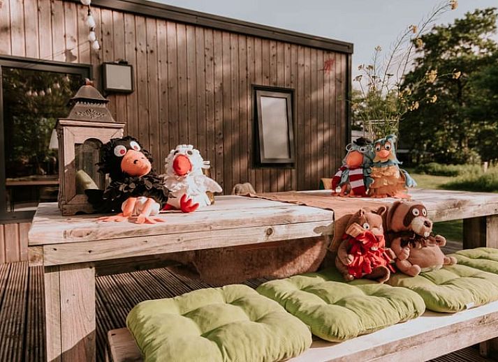 Verblijf 100208 - Vakantiewoning Tjeukemeer - Vakantiehuis in Delfstrahuizen