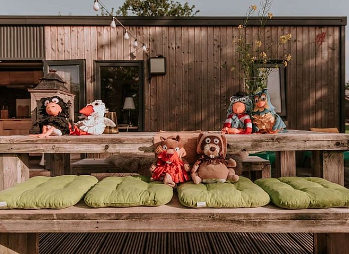Verblijf 100208 - Vakantiewoning Tjeukemeer - Vakantiehuis in Delfstrahuizen