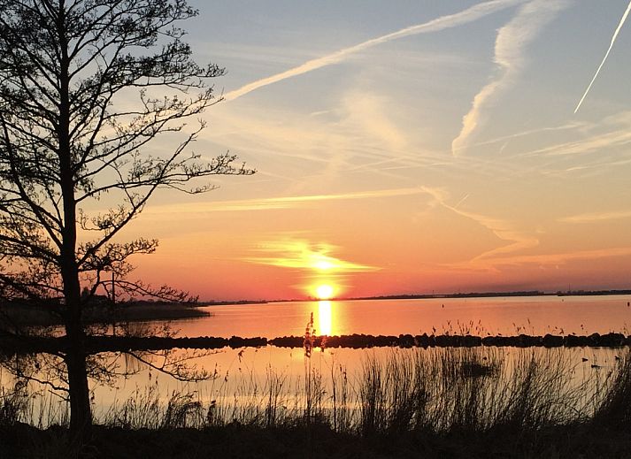 Unterkunft 100217 - Ferienhaus Tjeukemeer - FR474