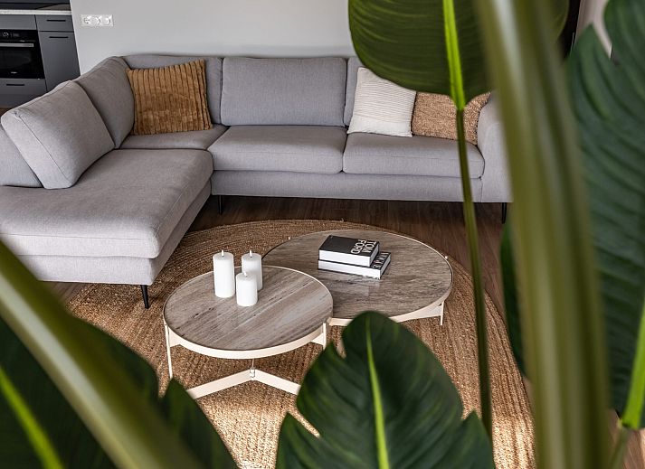 Blick von der Veranda des Einfamilienhauses in Follega, Tjeukemeer, Friesische Seen.