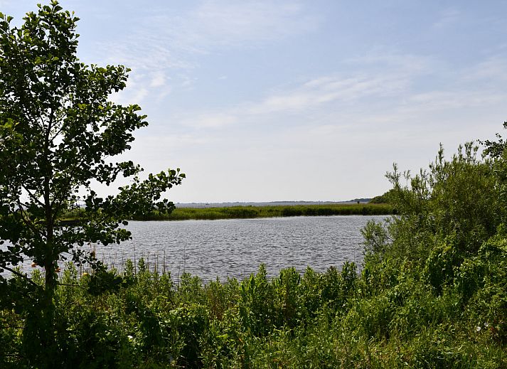 Natuurrijke omgeving van vakantiehuis FR199 in Rohel, vlakbij Tjeukemeer.