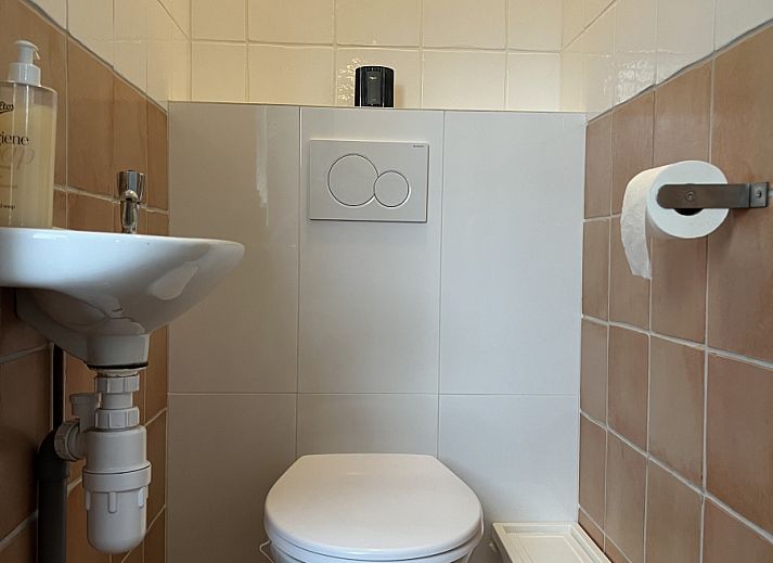 Natuurrijke omgeving van vakantiehuis FR199 in Rohel, vlakbij Tjeukemeer.