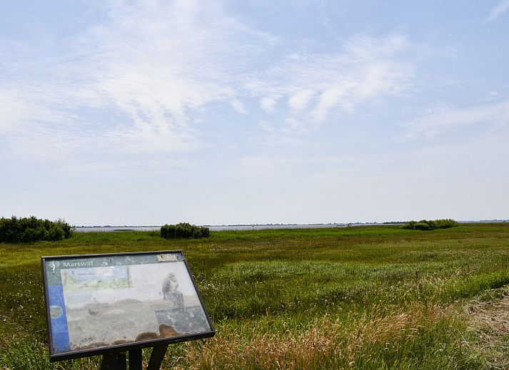 Uitzicht op weilanden rondom FR257 vakantiehuis in Rohel, Tjeukemeer, Friese meren.