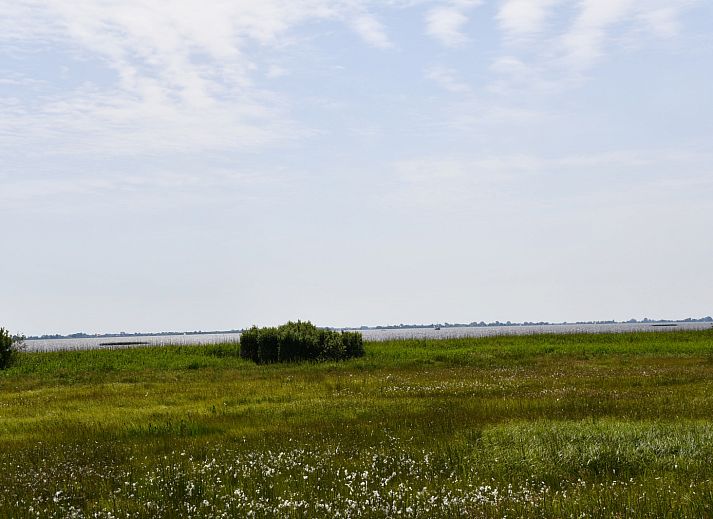 Uitzicht op weilanden rondom FR257 vakantiehuis in Rohel, Tjeukemeer, Friese meren.