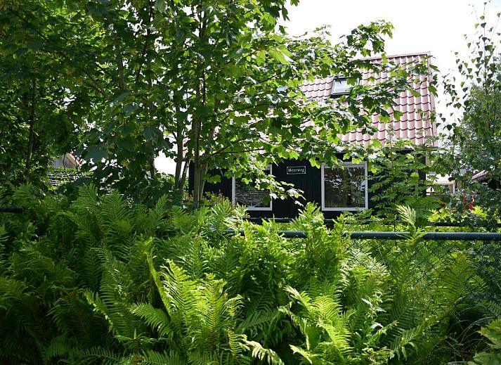 Guest house 100513 - Holiday property Tjeukemeer - FR258