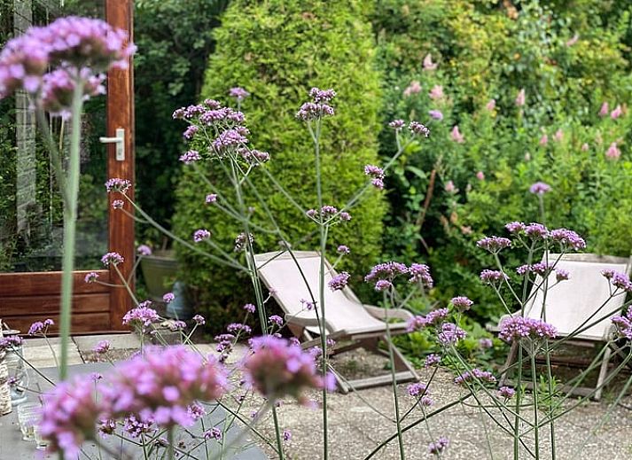 Charmantes Ferienhaus in Rohel, Friesische Seen, umgeben von einem ueppigen Garten und Natur.