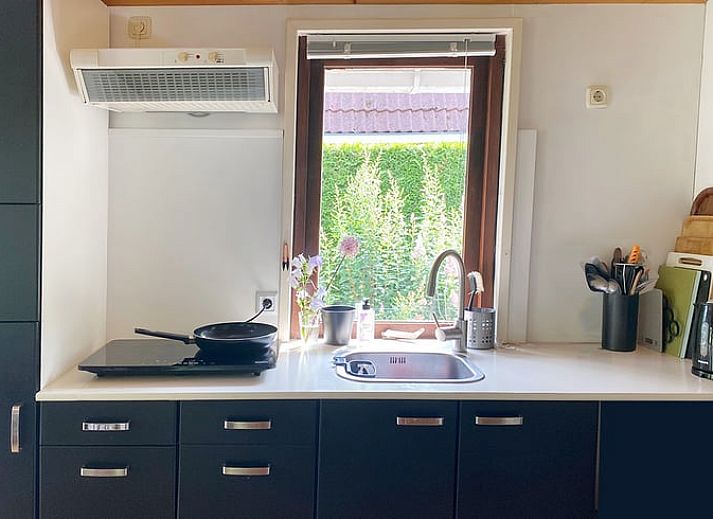 Gemuetliche Terrasse des Ferienhauses in Rohel, Tjeukemeer, mit bunten Blumen.