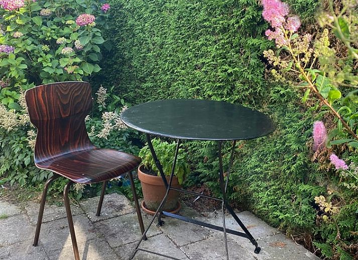 Schoene gruene Umgebung um das Ferienhaus in Rohel, in der Naehe der friesischen Seen.