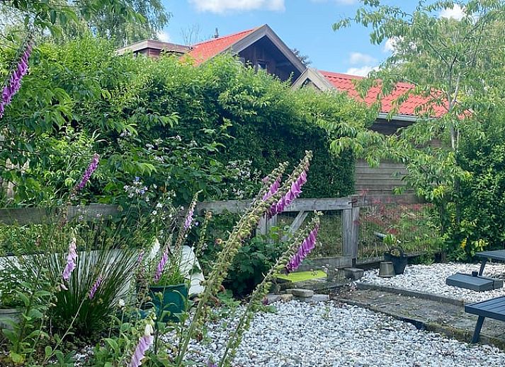 Schoene gruene Umgebung um das Ferienhaus in Rohel, in der Naehe der friesischen Seen.