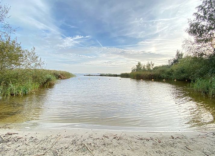 Ruhiger Garten mit Liegestuehlen am Ferienhaus in Rohel, Tjeukemeer, umgeben von Blumen.
