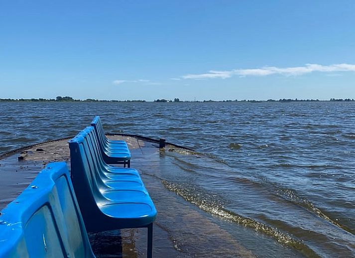 Ruhiger Garten mit Liegestuehlen am Ferienhaus in Rohel, Tjeukemeer, umgeben von Blumen.