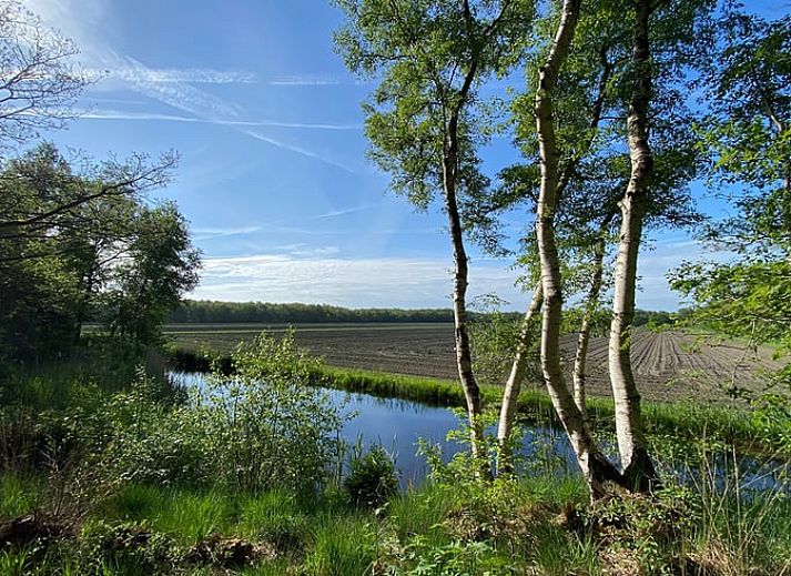 Ruhiger Garten mit Liegestuehlen am Ferienhaus in Rohel, Tjeukemeer, umgeben von Blumen.